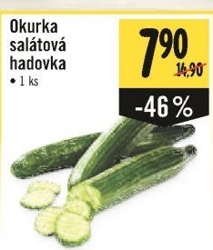 Okurka hadovka