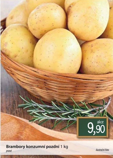 Brambory konzumní pozdní