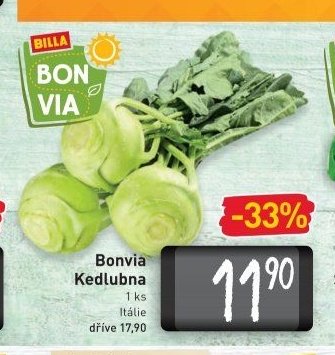 Bonvia Kedlubna