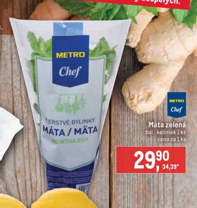 Máta zelená