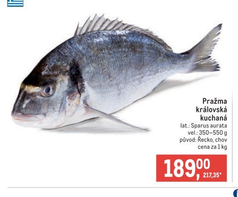 Pražma královská kuchaná