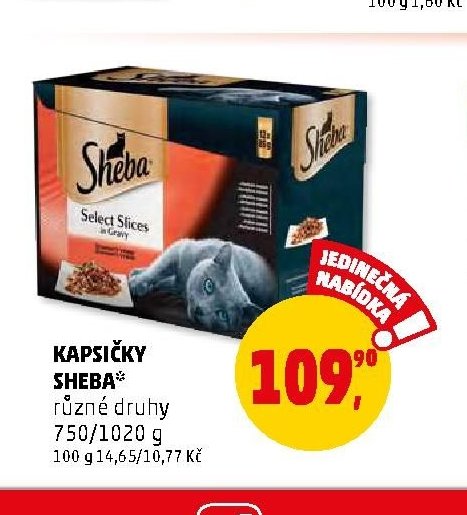 KAPSIČKY SHEBA
