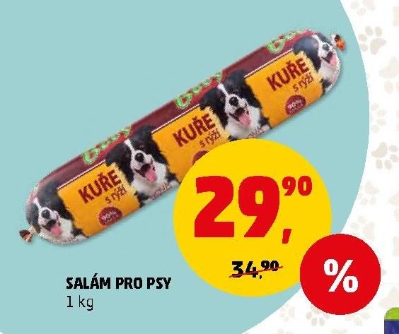 SALÁM PRO PSY