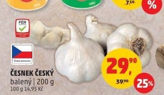 ČESNEK ČESKÝ