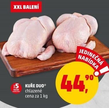 KUŘE DUO*