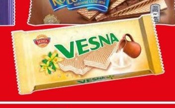 VESNA