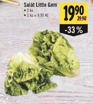 Salát little gem