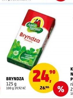 BRYNDZA