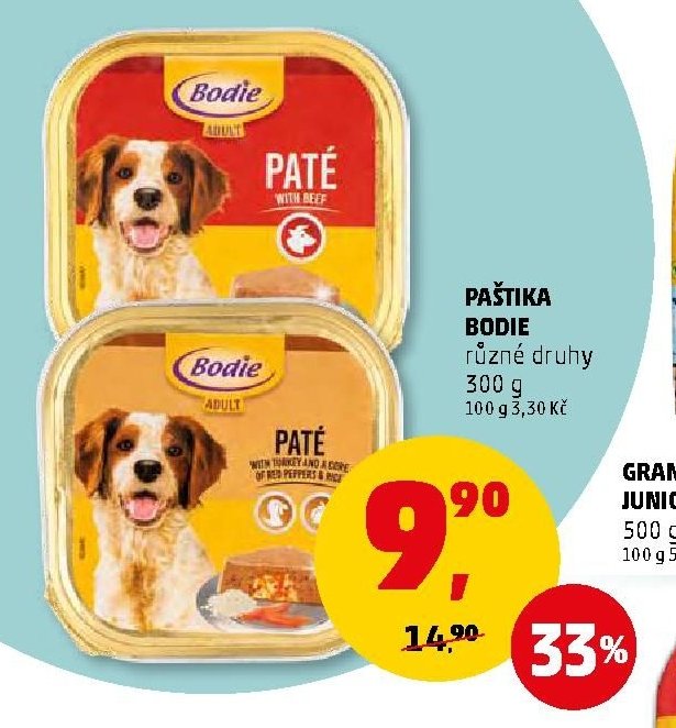 PAŠTIKA BODIE