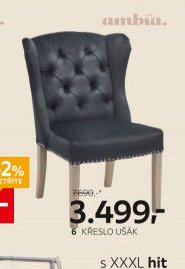 6 KŘESLO UŠÁK