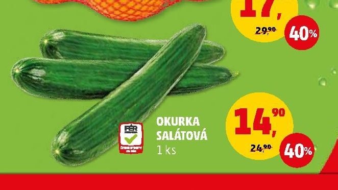 Okurka salátová