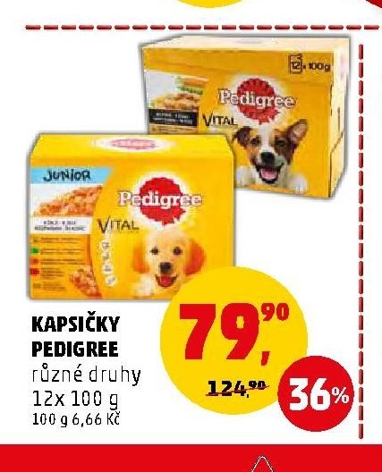 KAPSIČKY PEDIGREE
