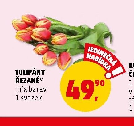 TULIPÁNY ŘEZANÉ mix barev 1 svazek