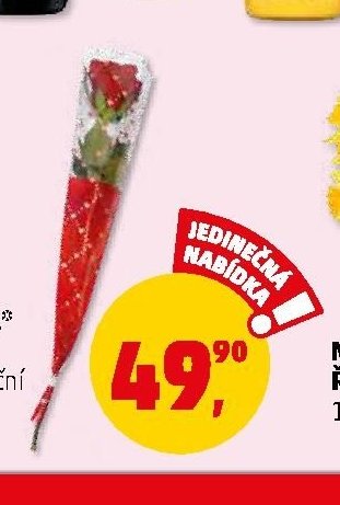 RŮŽE ČERVENÁ 1 květ v dekorační fólii 1 ks