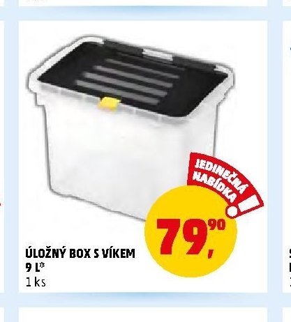 ÚLOŽNÝ BOX S VÍKEM 9 L