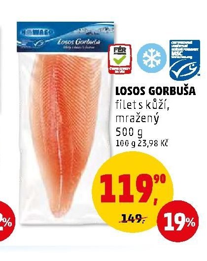 LOSOS GORBUŠA