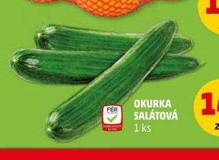 Okurka salátová 1 ks
