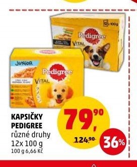 KAPSIČKY PEDIGREE