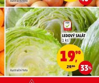 LEDOVÝ SALÁT