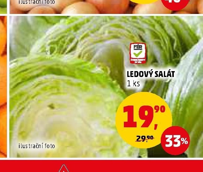 LEDOVÝ SALÁT