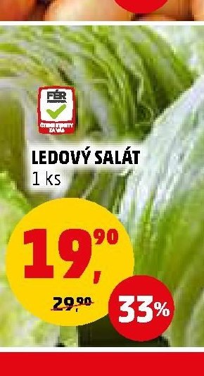 LEDOVÝ SALÁT