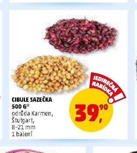 CIBULE SAZEČKA 500 G odrůda Karmen, Štutgart, 8-21 mm