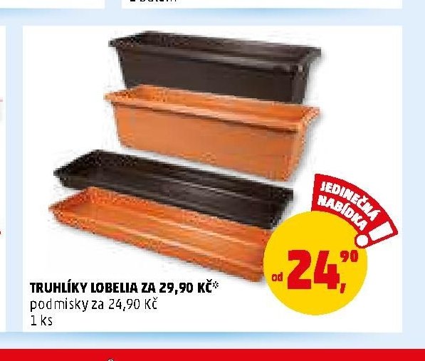 TRUHLÍKY LOBELIA ZA 29,90 KČ, podmísky za 24,90 Kč