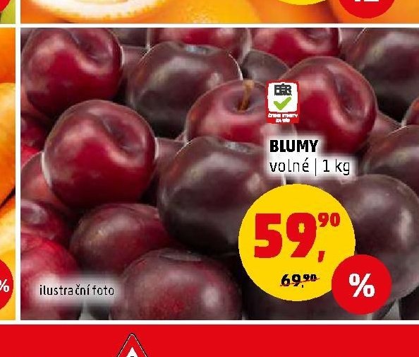 Blumy