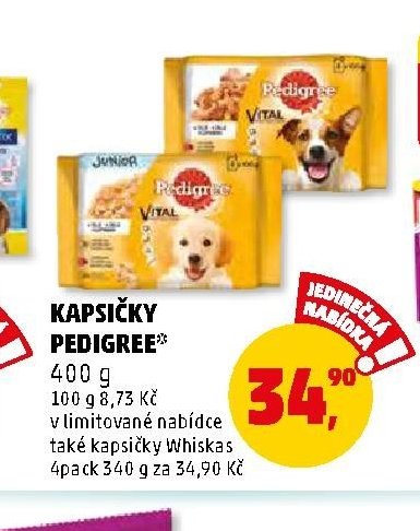 KAPSIČKY PEDIGREE