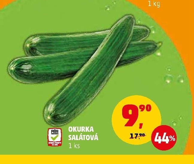 Okurka salátová