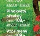 Plnokvětý převislý - UNI HOBBY akcniletaky.com