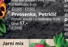 Prvosenka, Petrklíč - UNI HOBBY akcniletaky.com
