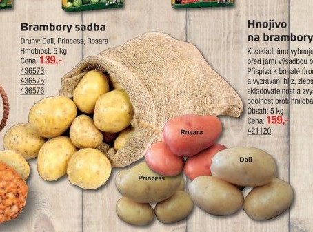 Brambory sadba - UNI HOBBY akcniletaky.com