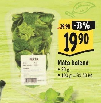Máta balená