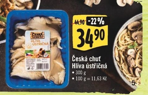 Česká chuť Hlíva ústřičná