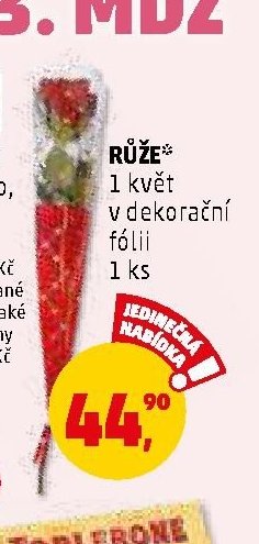 RŮŽE