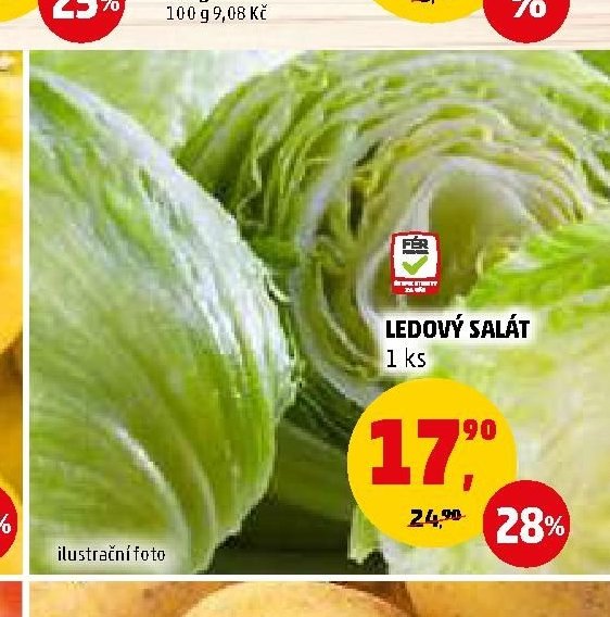 Ledový salát