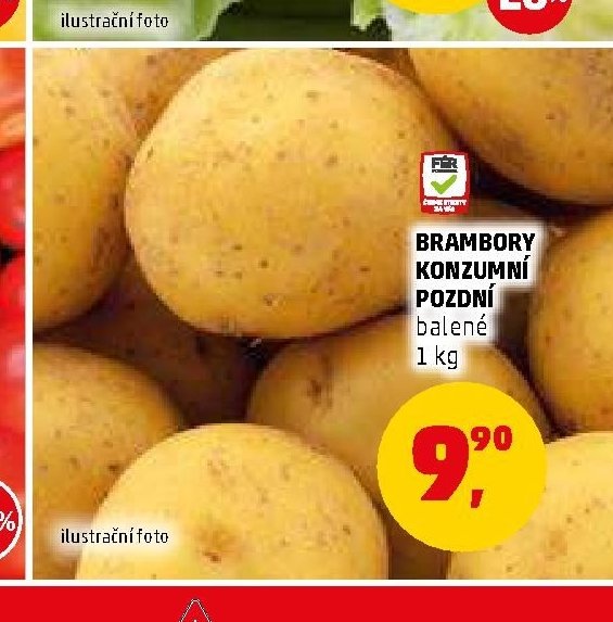 Brambory konzumní pozdní