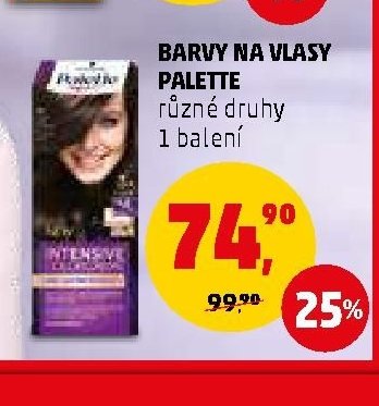 Barvy na vlasy Palette
