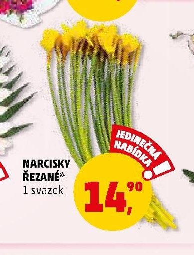 NARCISKY ŘEZANÉ
