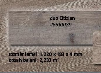dub Citizien 26610089 - BAUHAUS akcniletaky.com
