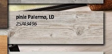 pinie Palermo, LD 25743496 - BAUHAUS akcniletaky.com