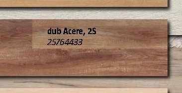 dub Acere, 2S 25764433 - BAUHAUS akcniletaky.com