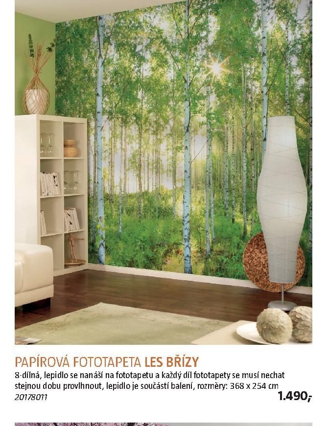 PAPÍROVÁ FOTOTAPETA LES BŘÍZY - BAUHAUS akcniletaky.com