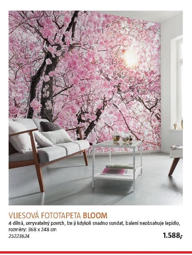 VLIESOVÁ FOTOTAPETA BLOOM - BAUHAUS akcniletaky.com