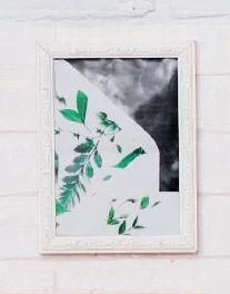 Obraz s motivem palmového listu v rámu - BAUHAUS akcniletaky.com