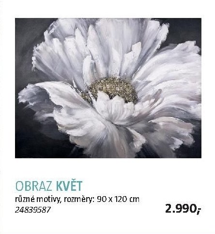 OBRAZ KVĚT - BAUHAUS akcniletaky.com
