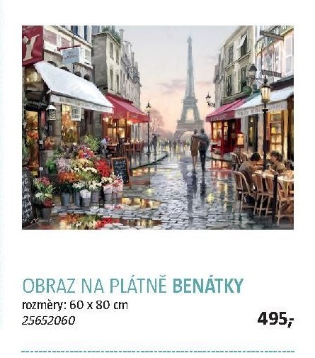 OBRAZ NA PLÁTNĚ BENÁTKY - BAUHAUS akcniletaky.com