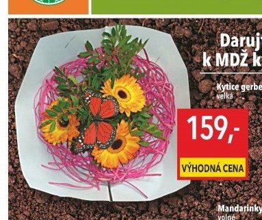 Kytice gerbera velká