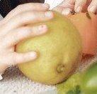 Hruška - ASKO akcniletaky.com